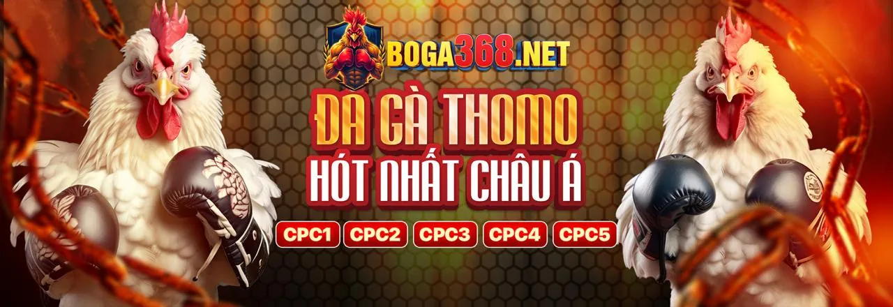 Kêu gọi hành động tải ứng dụng Winmax